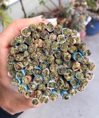 Pre Rolls