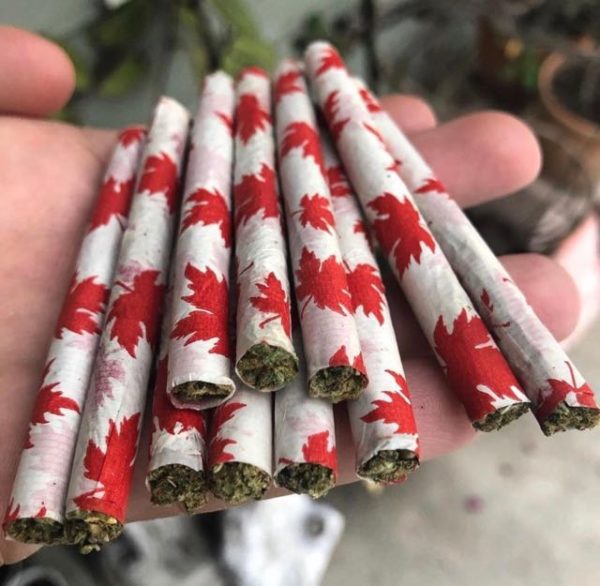★ Deal ★ Spend Over $100 Get 4 PreRolls - Image 2