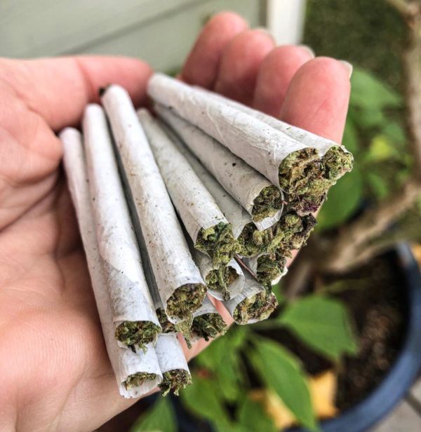 Premium Pre Rolls