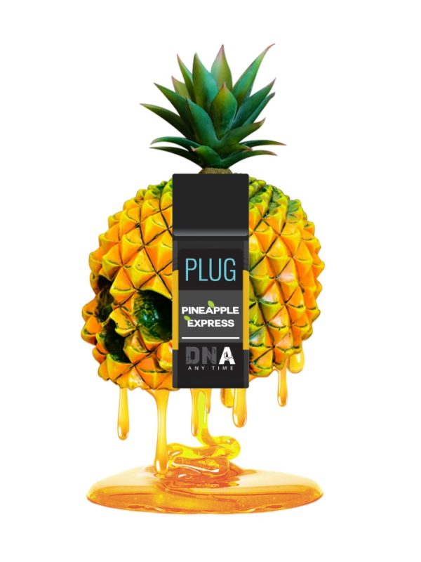Plug Play - Pineapple Express - DNA