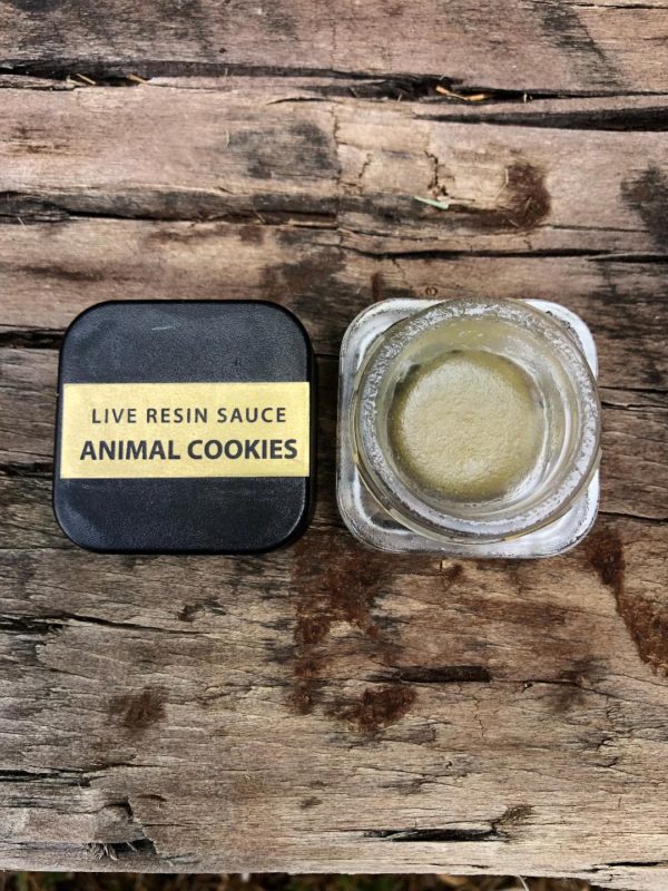 Haute Sauce - Live Resin Sauce - Animal Cookies - 1 Gram