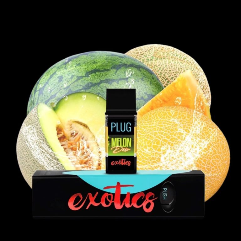 Plug Play Melon Dew Hybrid Thin Air Nursery