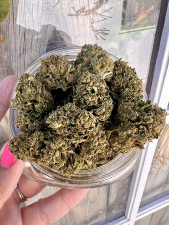 Turbo Cookies - Indica $80oz