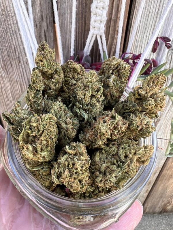 Organic - OG - Hybrid - 20%- 25%  $80oz