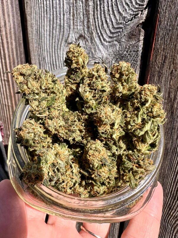 Brrr Berry OG - Hybrid