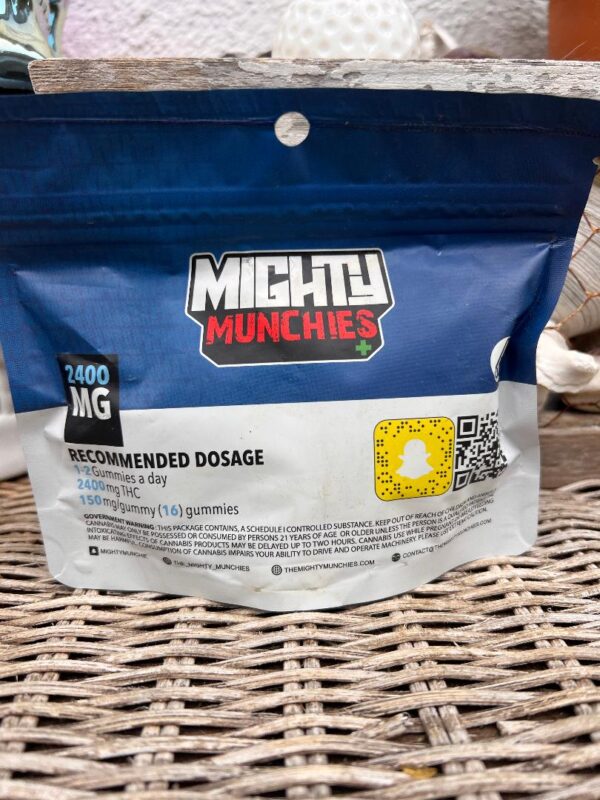 Blueberry -2400mg  - Mighty Munchies - Image 2