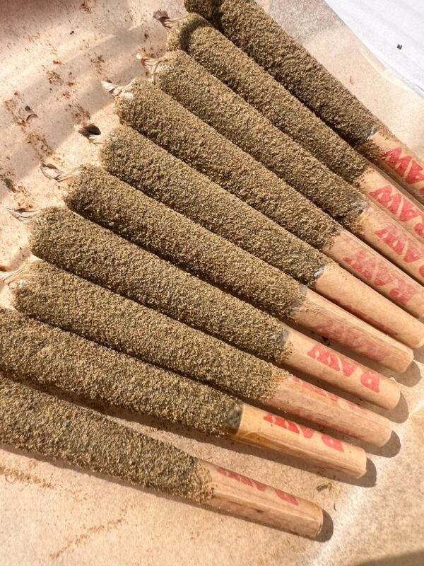 Cones infused with Kief and Distillate