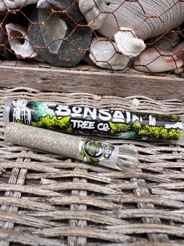 Bonsai Tree Co  HashHole Glass Tip - Cherry Fuel/Black Label- 2g
