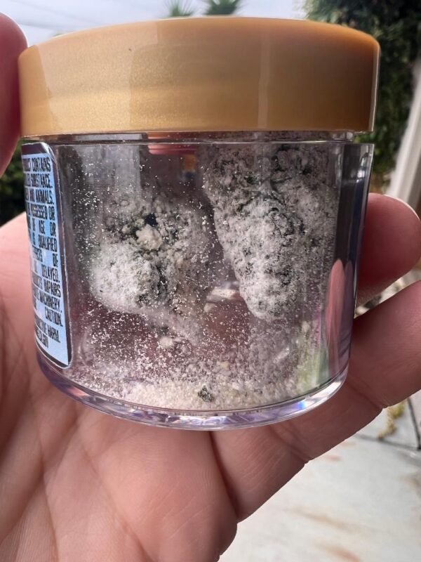 Haute Sauce - Coco Puffs - Blue Meringue - Hybrid  - 3.5G Premium Flower - Image 2