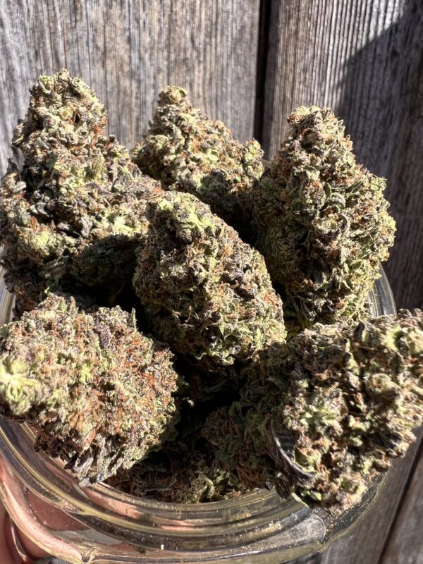 Durban Gushers - Sativa Dominant / Hybrid