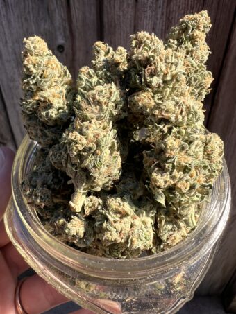 Moroccan Peach - Hybrid $50oz