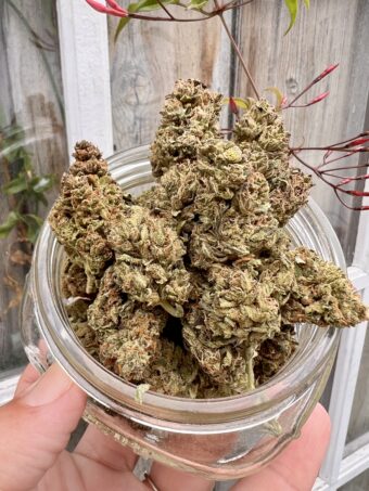 Tahoe OG - Indica $50oz