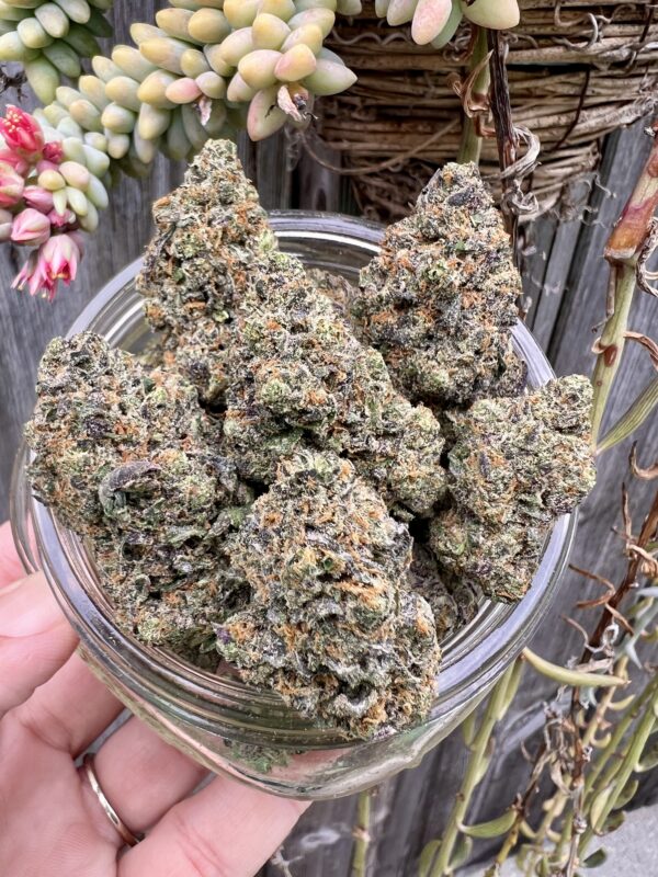Jelly Zonuts -  Hybrid 29%
