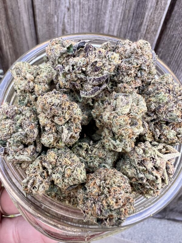 Galactic Nerds - Indica