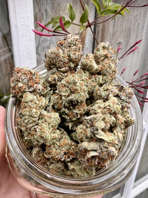 420 Special - Zookies - Hybrid - Smalls $100 OZ