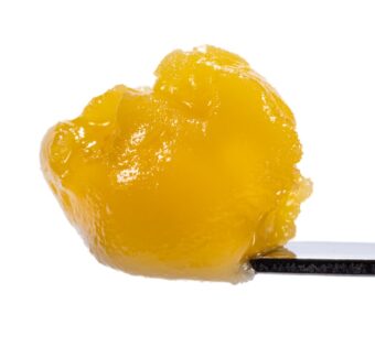 West Coast Cure - Forbidden Haze - Live Resin Badder - 1gram