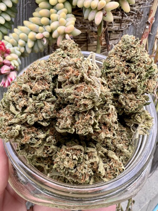 Grape Cream Cake - Indica $80