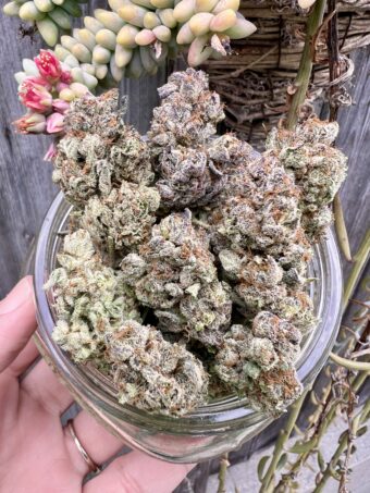 Slime Aid - Indica
