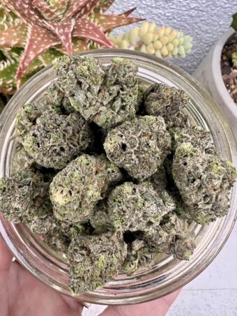 Frozen Grapes - Indica- 22%-26%