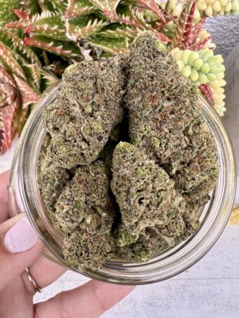 Wedding Crasher- Indica