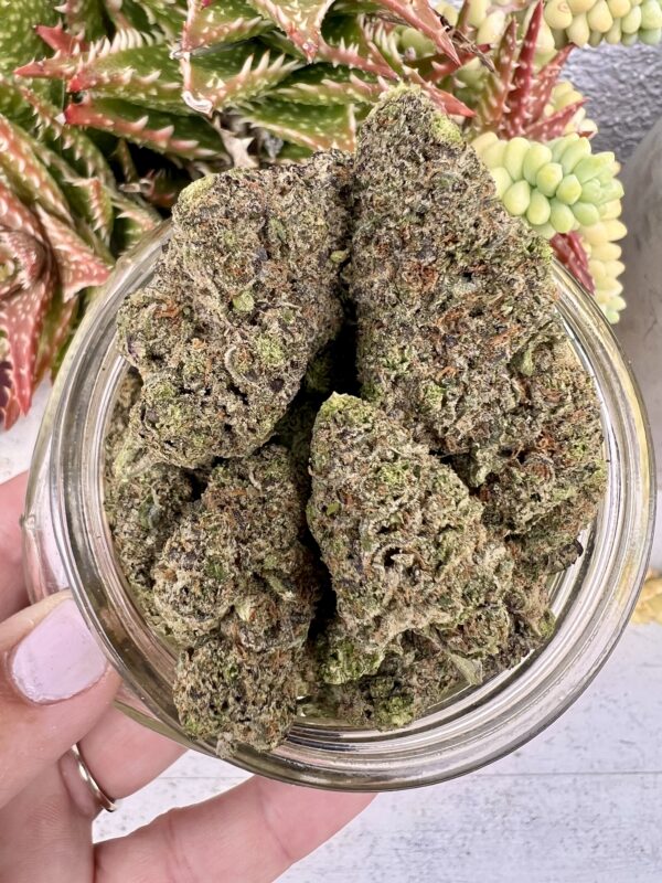 Wedding Crasher- Indica
