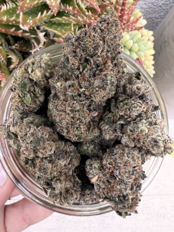 Grimace - Hybrid