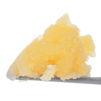 West Coast Cure - Live Resin Badder - Rainbow Belts - 1gram