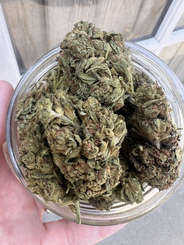 Chem-D - Hybrid $50oz