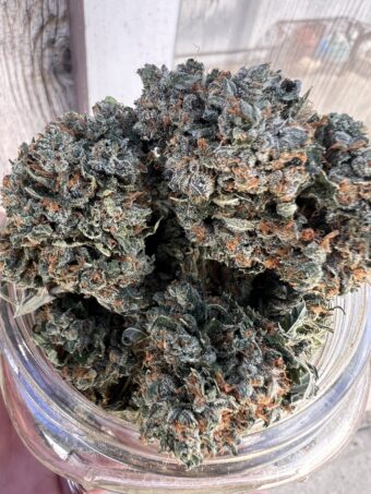 Z Kittles - Hybrid $100 oz