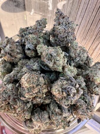 Candy Mintz - Indica