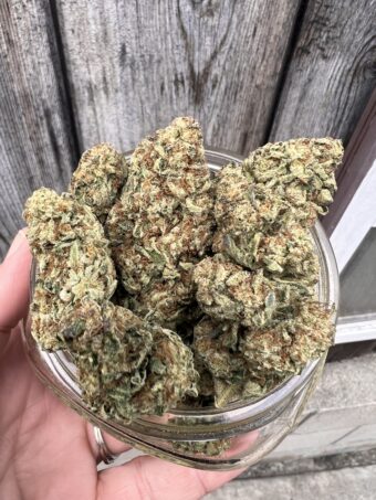 Garlic Berry - Hybrid - $100 OZ