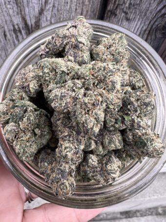 Black Sugar Rose - Indica