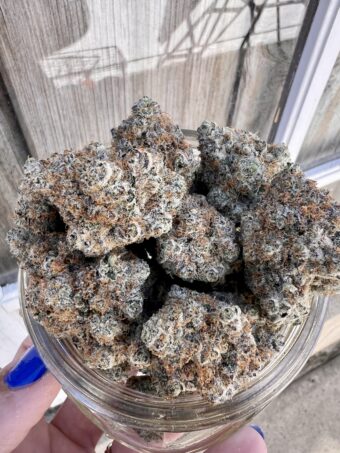 Alaskan Ice - Hybrid