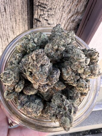 Chrome Dome - Sativa