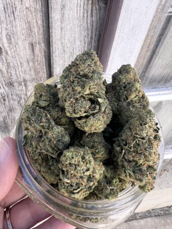 Lemon Skittles- Hybrid