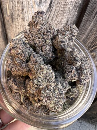 Purple Dragon - Hybrid