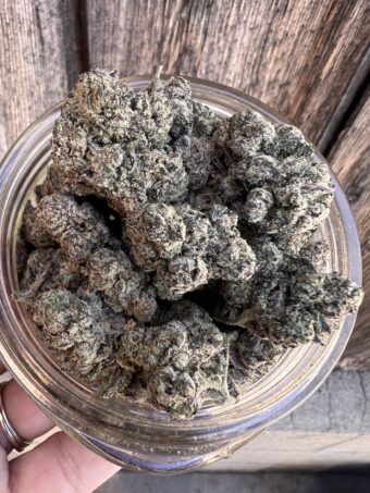 Blue Waffle - Hybrid