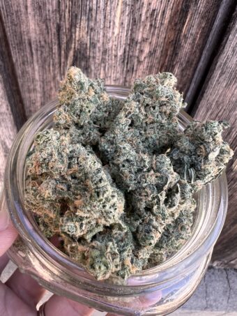 Dream Queen - Sativa