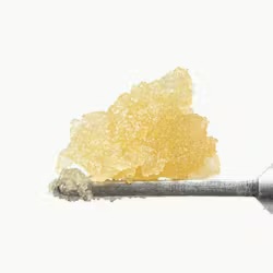 West Coast Cure -Dosidos Live Resin Sugar  - 1 Gram