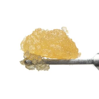 West Coast Cure - Chemdog Live Resin Sugar - 1 Gram