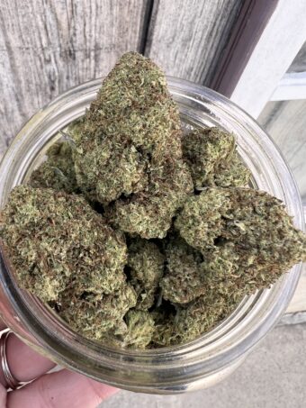 Twice Baked Cookies -  Hybrid $100oz