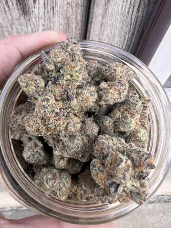 Rainbow Belts - Hybrid