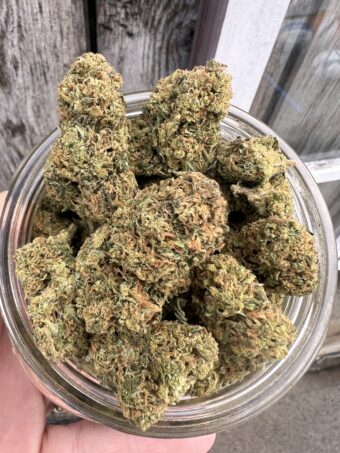 Strawberry Guava -  Indica - $80oz