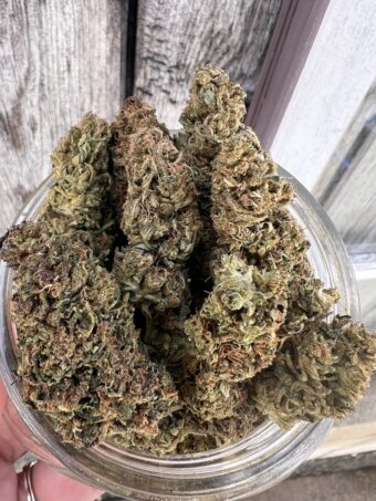 GMO - Indica - $60 oz