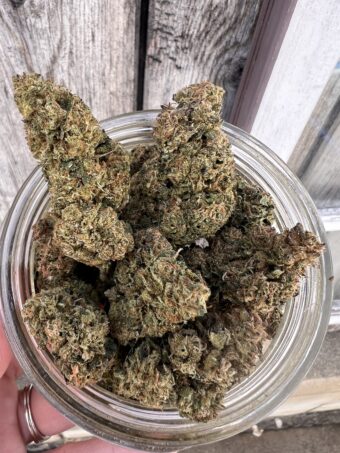Don Mega - Hybrid - $80oz