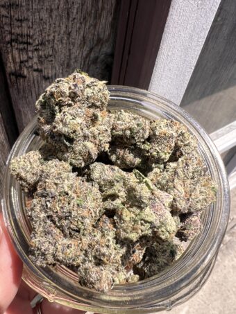 Adelitas - Hybrid