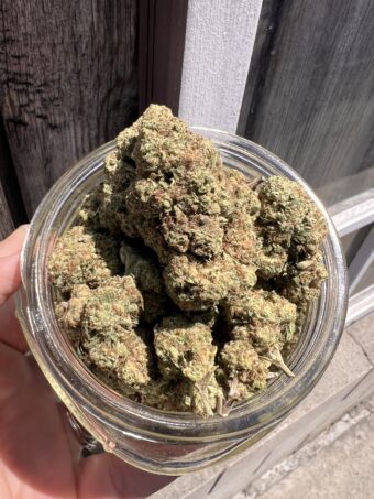 White Buffalo - Hybrid