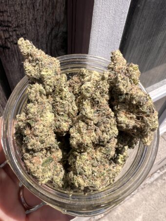 Monster Cookie - Indica