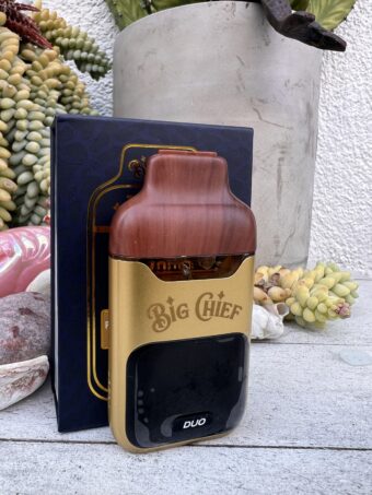 Big Chief - Italian Icee/Hybrid - Rainbow Nerdz/Indica - 2 gram Disposable