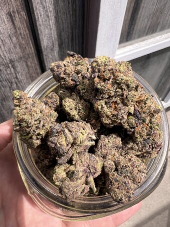 Frozen Cherry - Indica